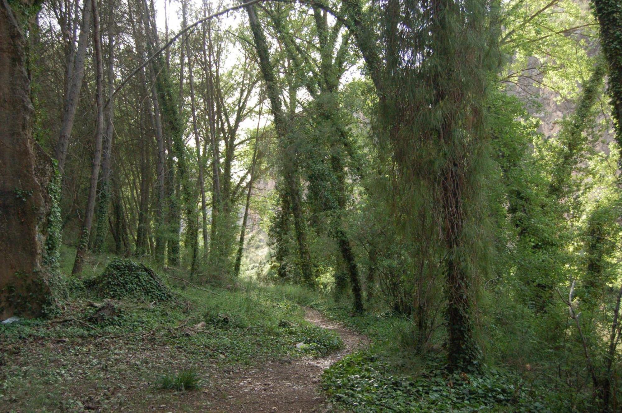 La Posada Del Hidalgo De Alarcón מראה חיצוני תמונה