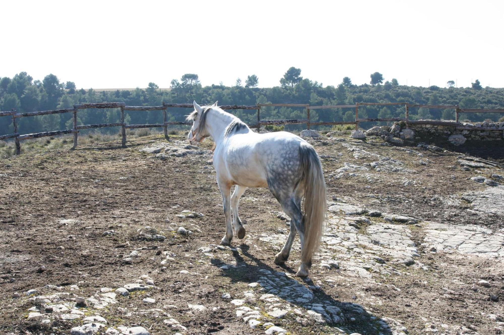 La Posada Del Hidalgo De Alarcón מראה חיצוני תמונה